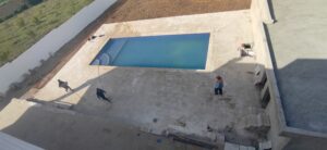 img 20220208 113135